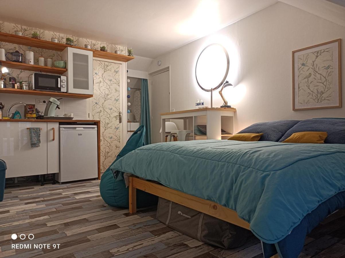 Magnifique Studio Climatisation, Parking A Velos, Velos En Option, Centre Ville Parking Prive Jardin Montargis Exterior foto